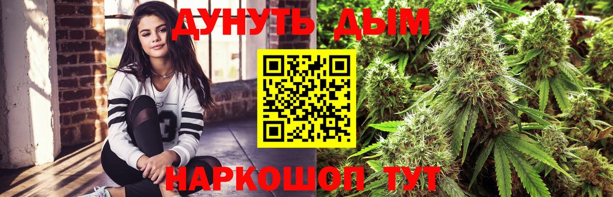 Марихуана план Кохма